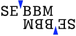 logotipo SEBBM