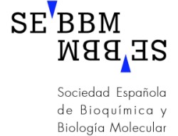 logotipo SEBBM